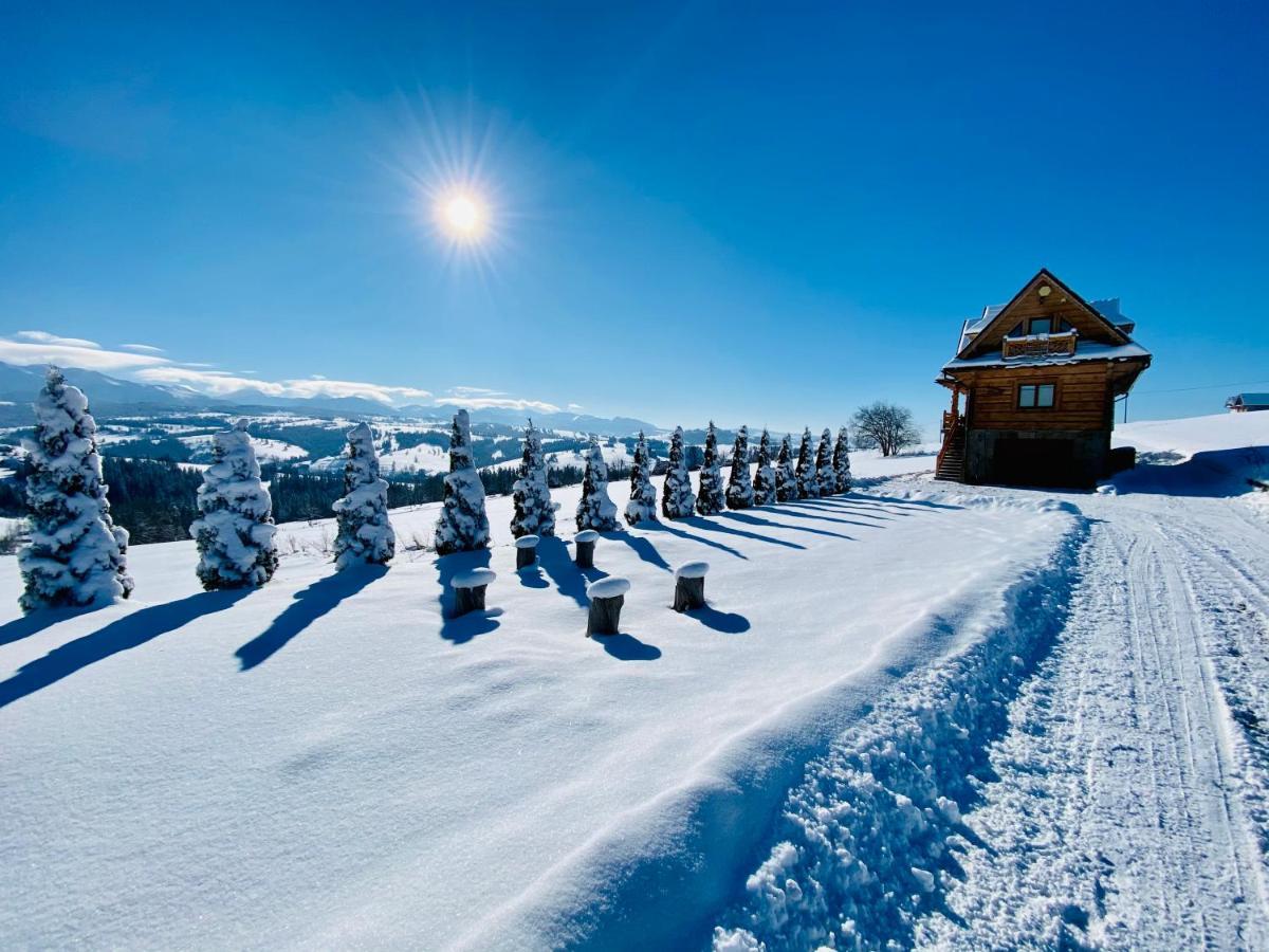 Dom Pod Bachledowka Villa Czerwienne Dış mekan fotoğraf